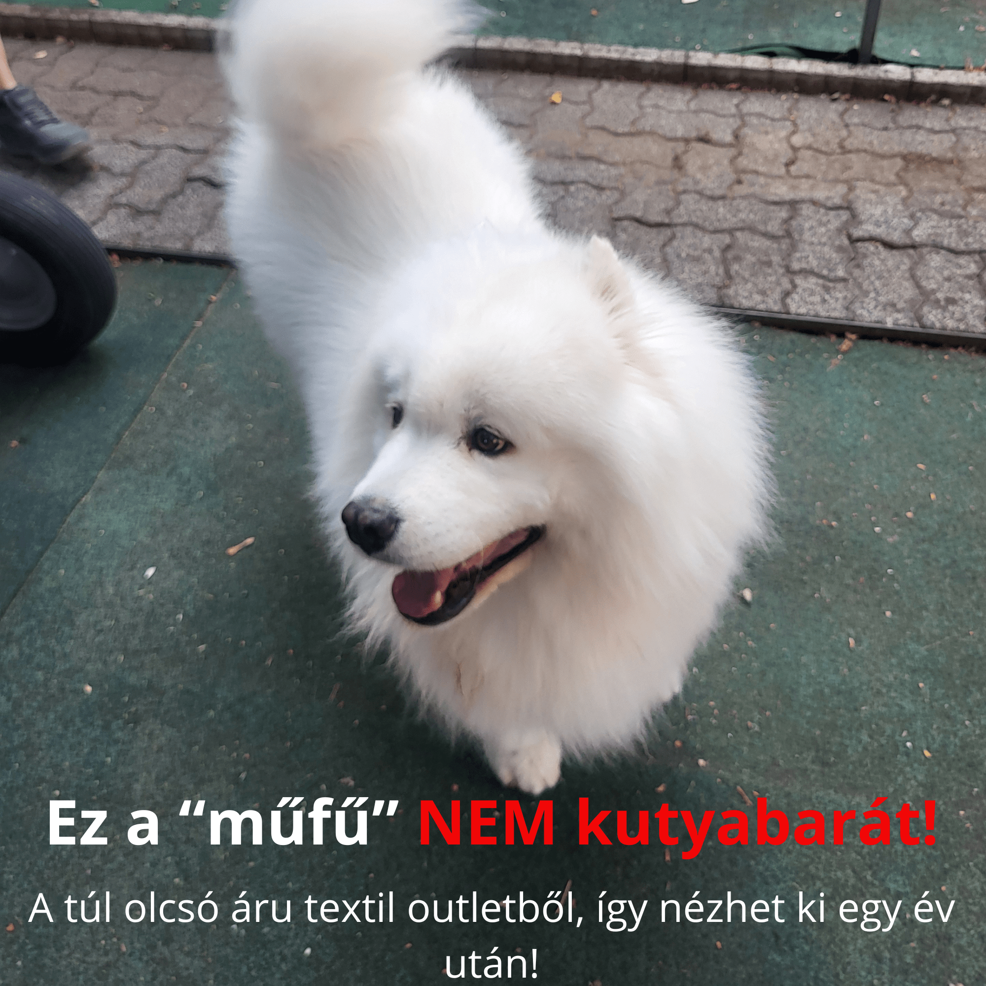 holland műfű olcsón szőnyeg áruház webszőnyeg textil outlet carpet